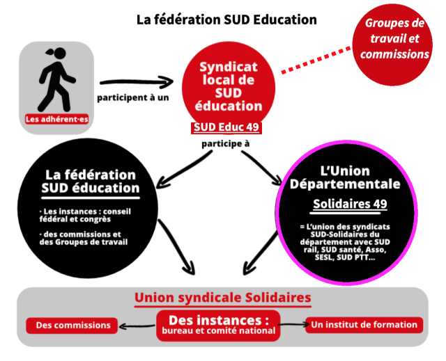 Les adhérent·es participent à un syndicat local de SUD education, ici SUD Educ 49. Au sein de ce syndicat local, se créent des commissions et groupes de travail. SUD Educ 49 participe aux instances de la fédération SUD Education qui sont le conseil fédéral et le congrès; ainsi qu'à ses groupes de travail et commission de la fédération SUD Education. SUD Educ 49 participe également à la vie de l'Union syndicale départementale Solidaires 49, qui regroupe tous les syndicats SUD et Solidaires du département. La fédération SUD Education et l'Union syndicale départementale Solidaires 49 font partie de l'union syndicale Solidaires au niveau national par ses instances (le bureau et le comité national), ses commissions et son institut de formation.
